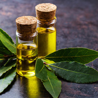 Bay Laurel Essential Oil