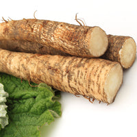 Burdock Root