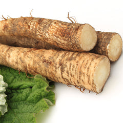 Burdock Root