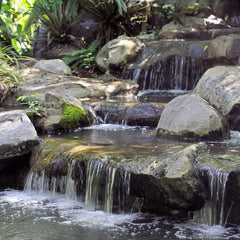 Distilled Water