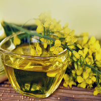 Canola Oil