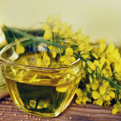 Canola Oil