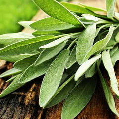 Organic Sage