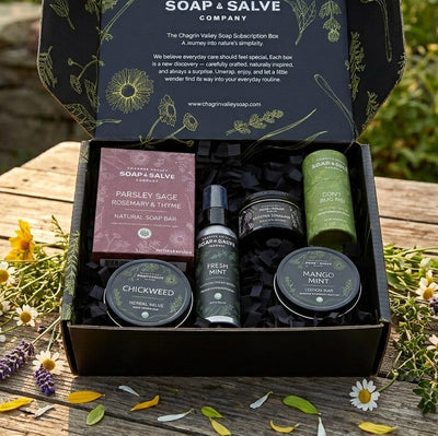 August Subscription Box 2026