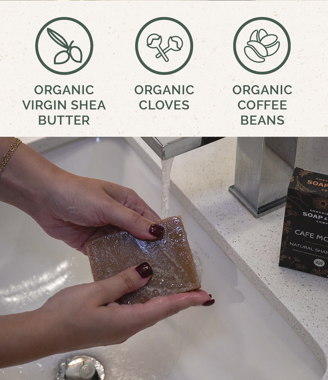 Shampoo-Bar: Cafe Moreno