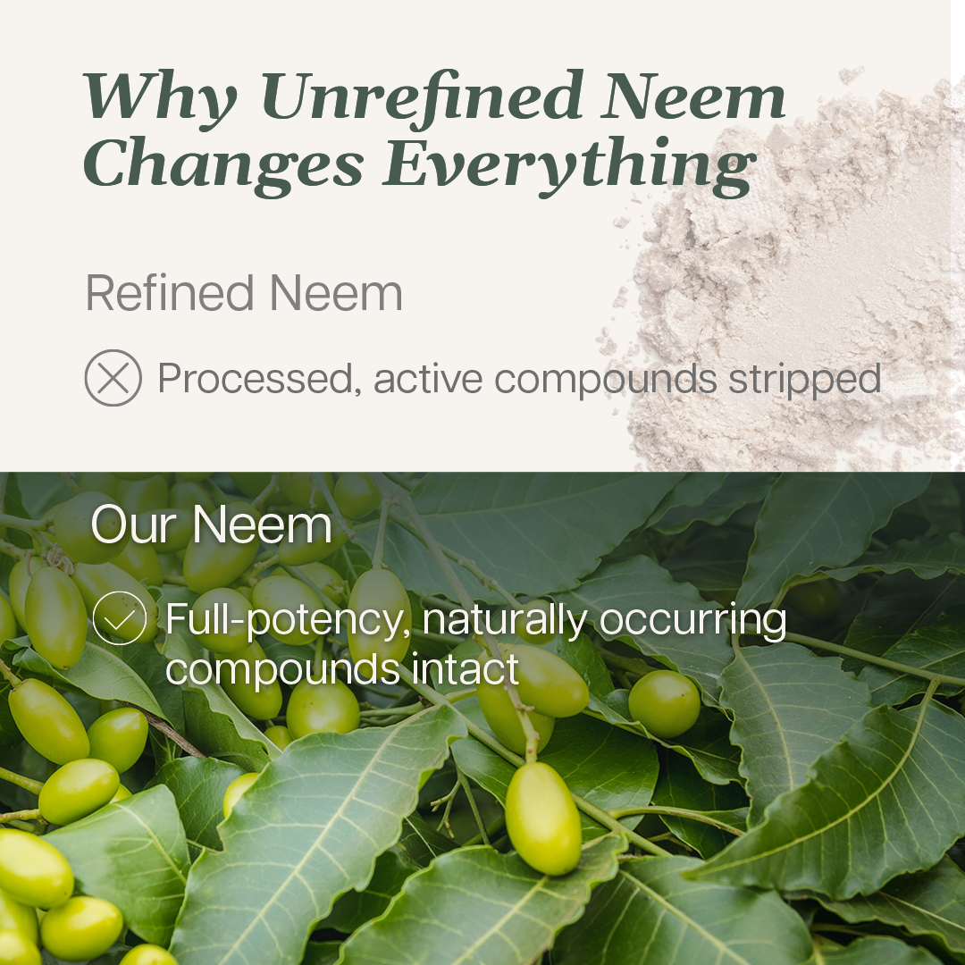 Neem & Tea Tree Body & Hair Shampoo