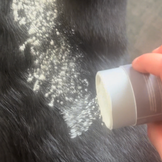 Organic Dry Shampoo for Dogs