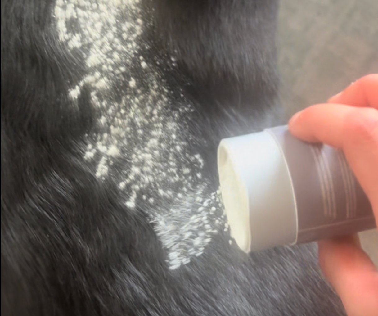 Organic Dry Shampoo for Dogs