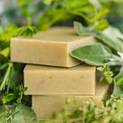 Shampoo Bar: Herb Garden